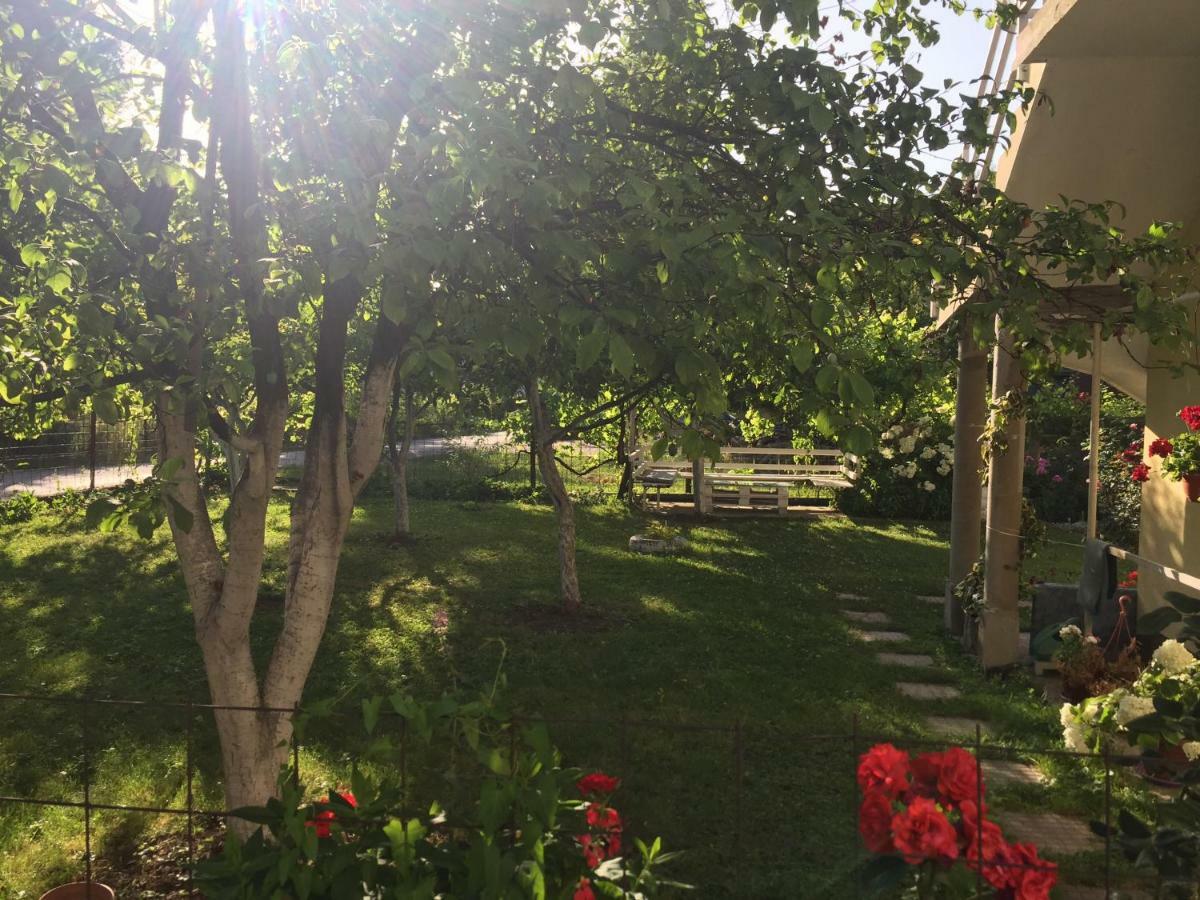 Sarajevo, Nedzarici Apartman